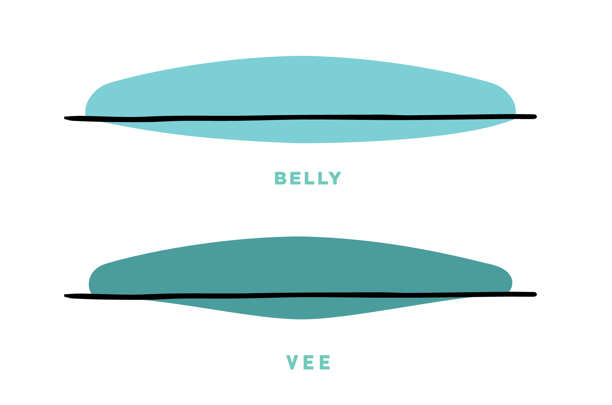 Illustration Convexes Surfboard Bottom Contours