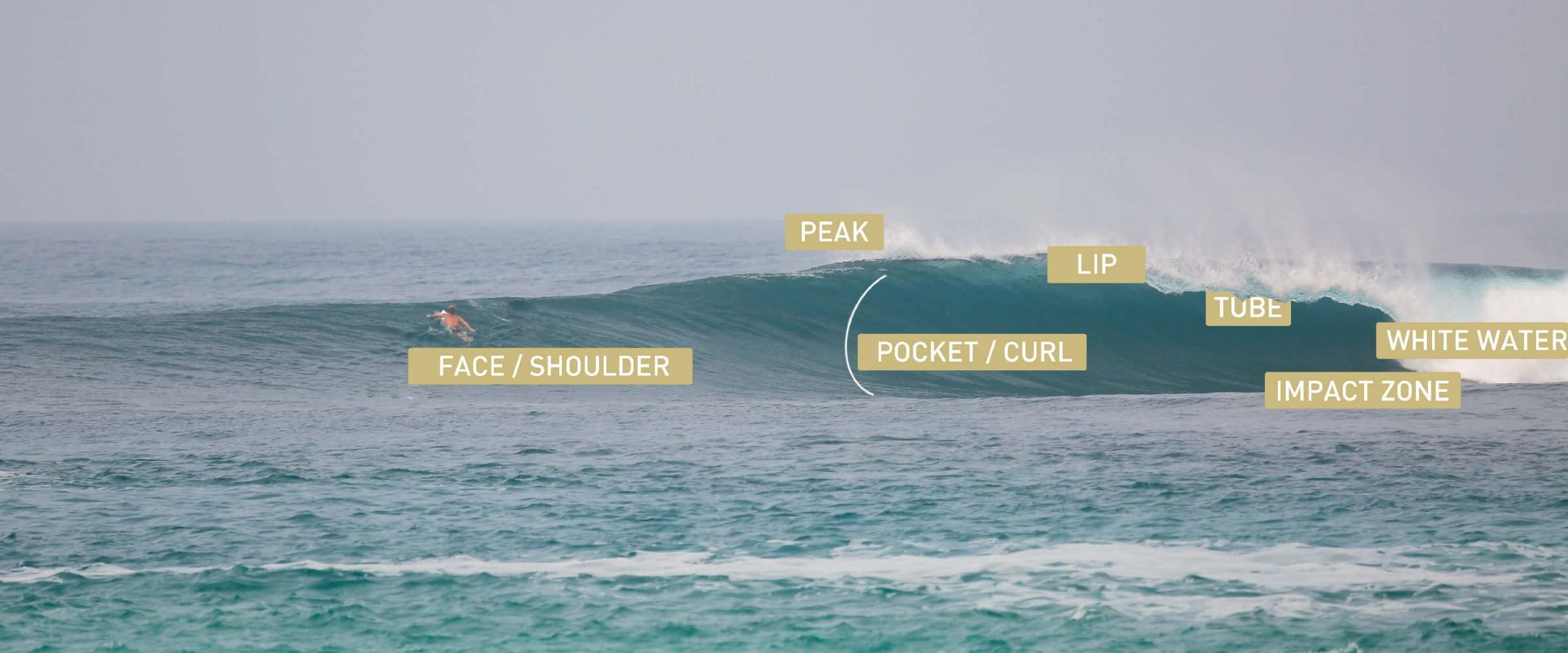 Different Parts of the Wave