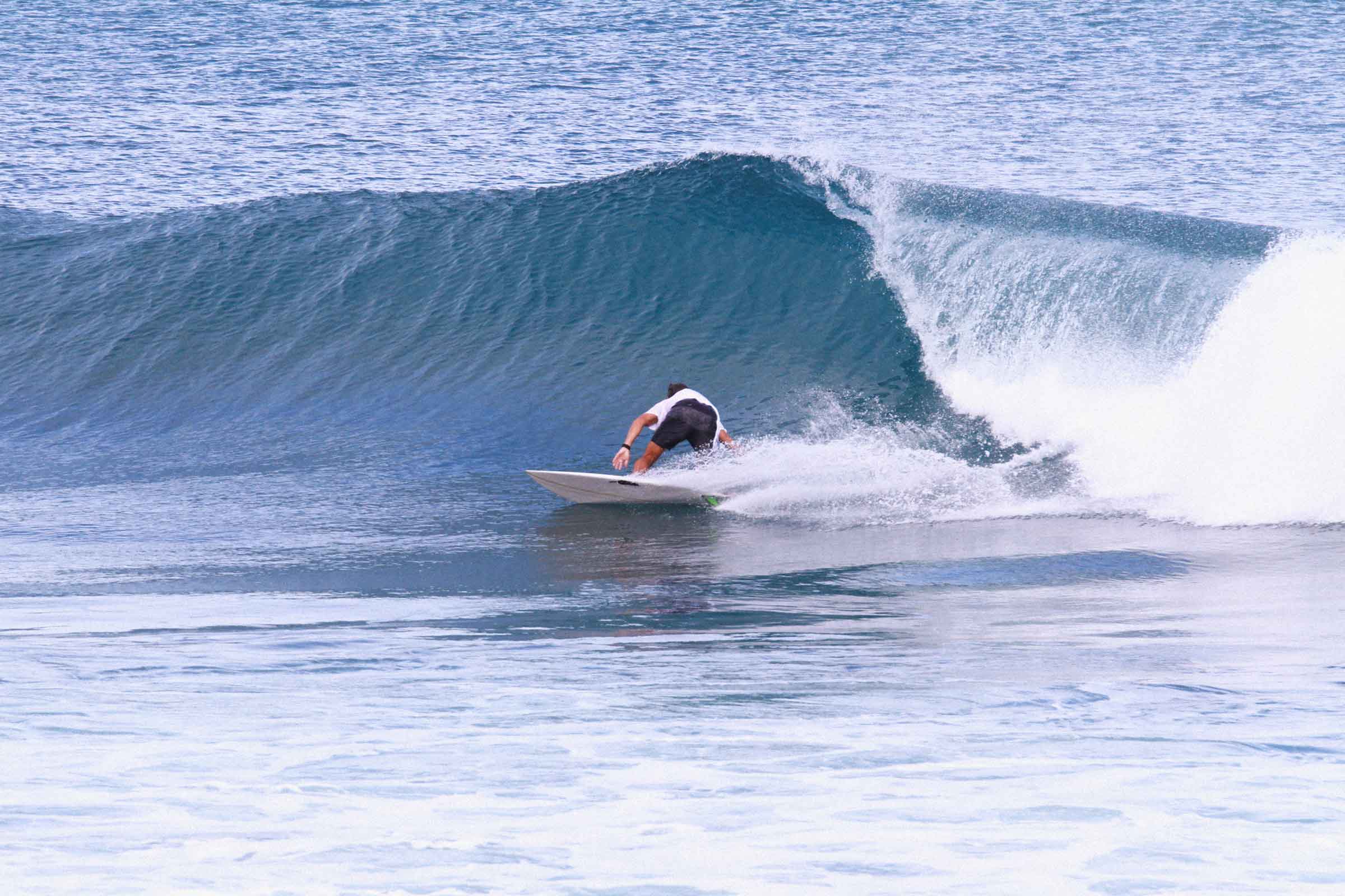 surfer carving on wave